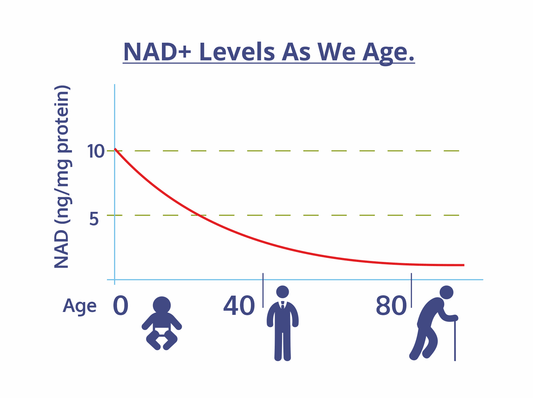 NAD+ 101: Unveiling the Molecule That Powers Our Cells - Divinity Nutra