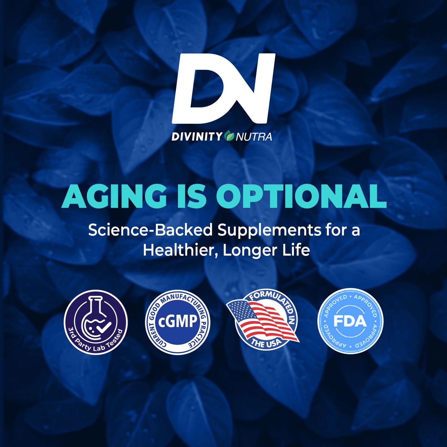 SOLODANCE Pre-Drink Supplement