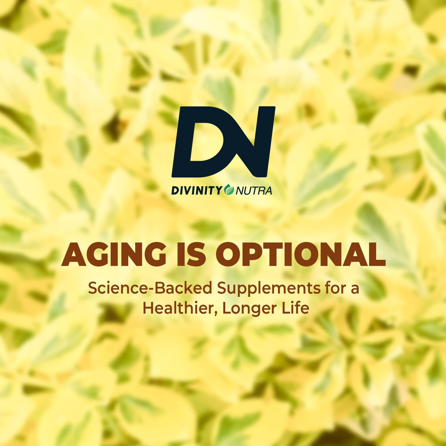Rosa Roxburghii Supplement