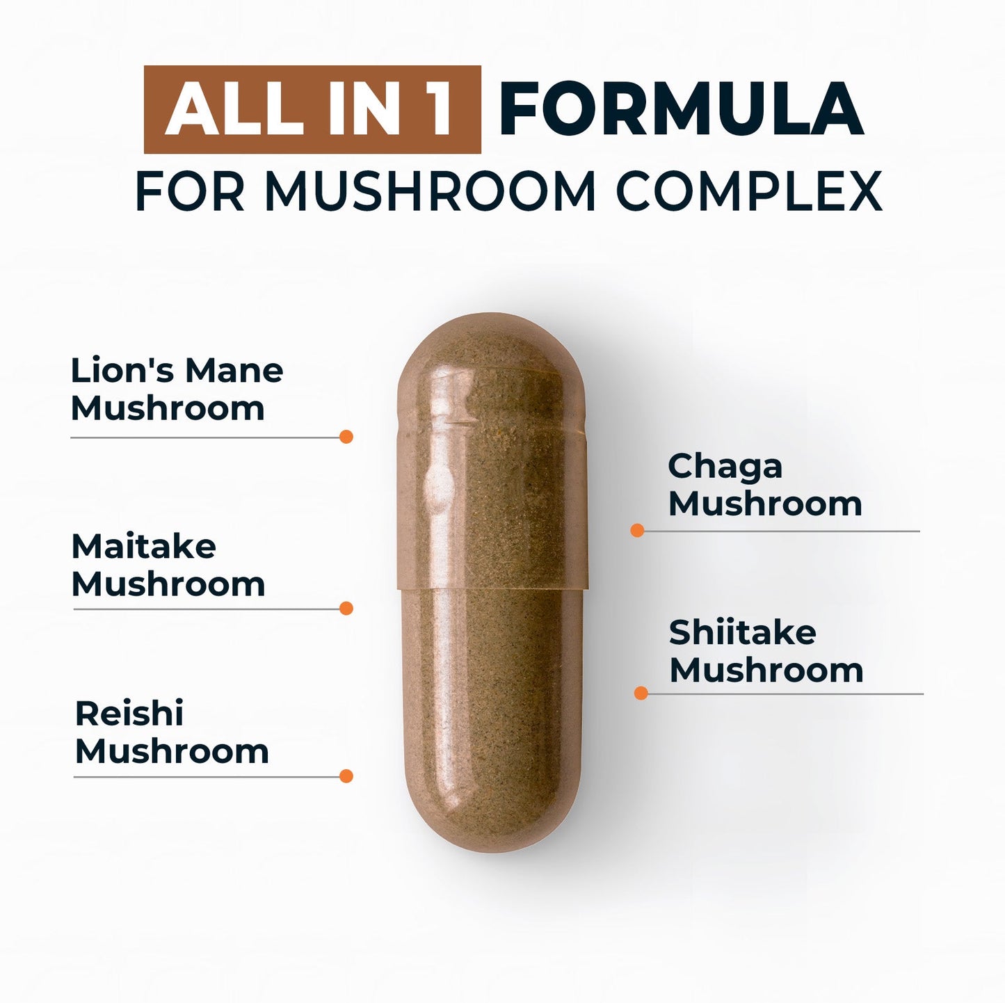 Mushroom Complex Supplement - Divinity Nutra