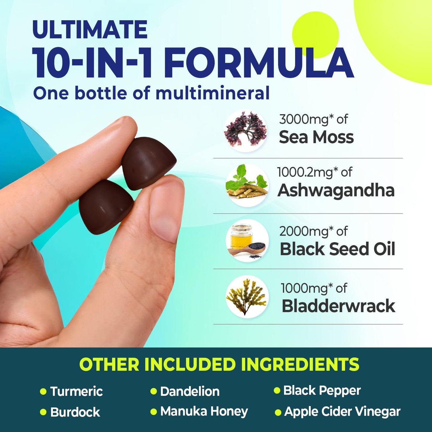 Sea Moss Gummies - Divinity Nutra