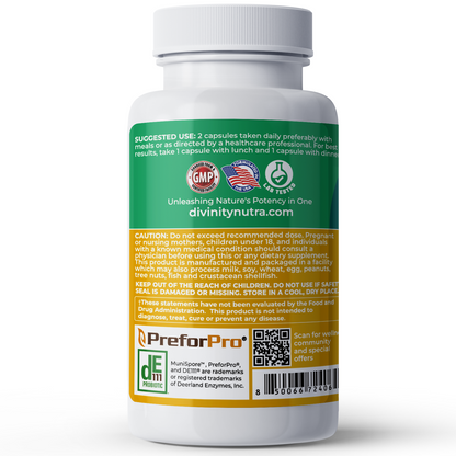 Prebiotic Probiotic Supplement