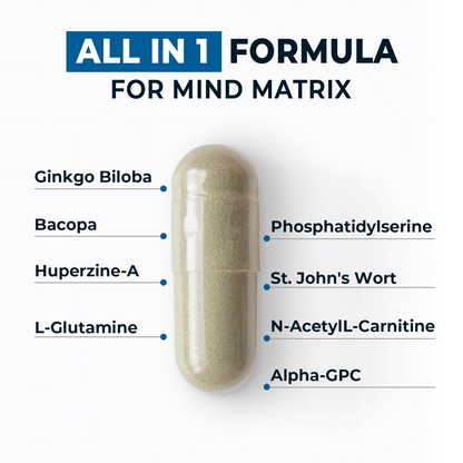 Mind Matrix Support Supplement