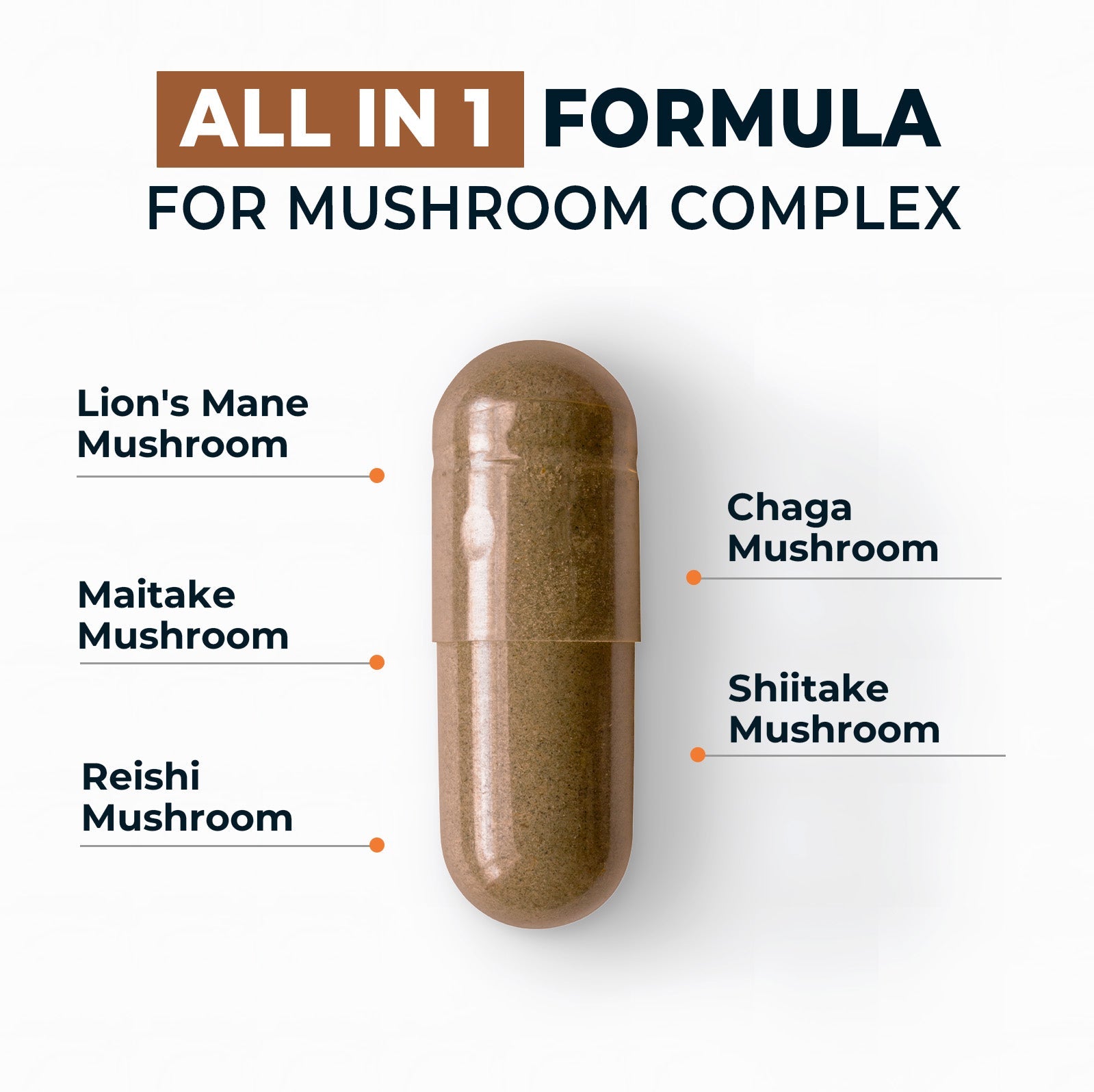 Mushroom Complex Supplement - Divinity Nutra